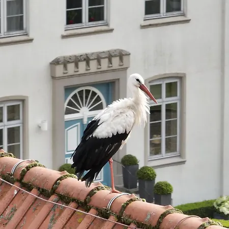 Hotel Gut Kaden 4*